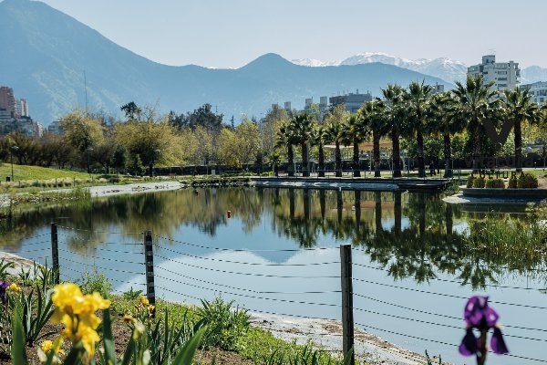 Explora tu Parque: Una caminata con sentido [24608]
